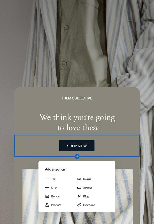 A user editing an email campaign with an "Add a section" popover present.
